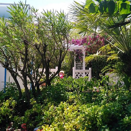 Hotel Parco Delle Rose Silvi Marina Buitenkant foto