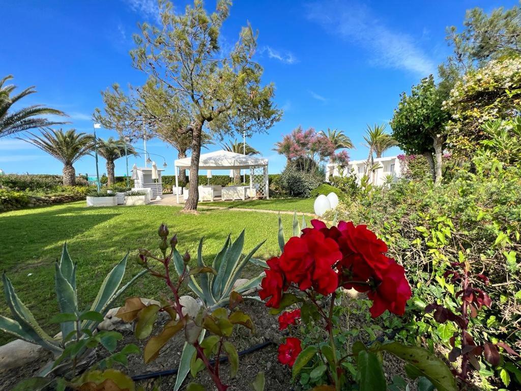 Hotel Parco Delle Rose Silvi Marina Buitenkant foto