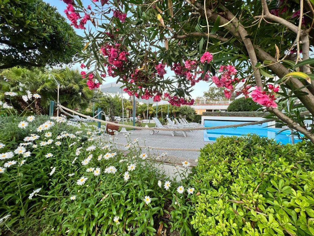 Hotel Parco Delle Rose Silvi Marina Buitenkant foto
