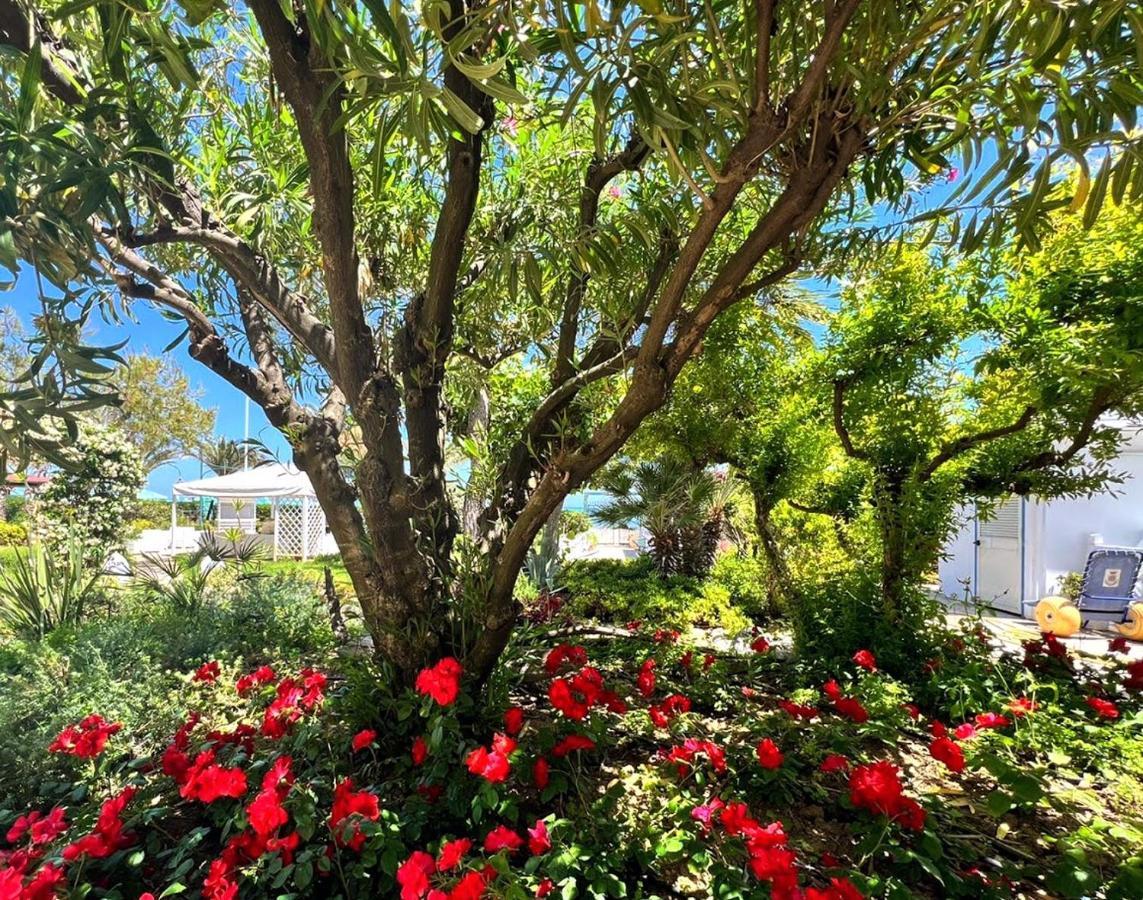 Hotel Parco Delle Rose Silvi Marina Buitenkant foto