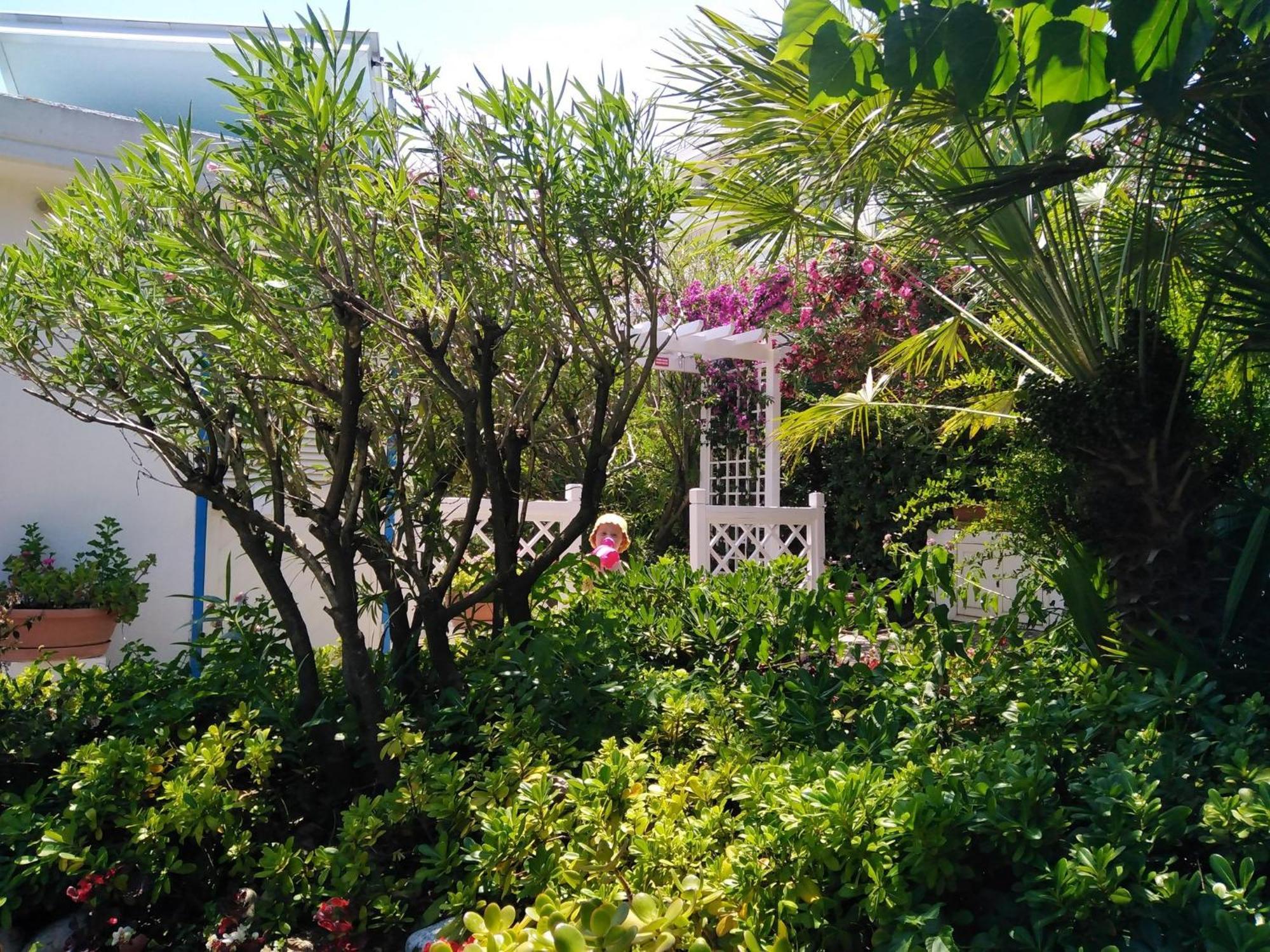 Hotel Parco Delle Rose Silvi Marina Buitenkant foto